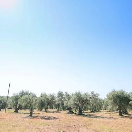 Borgo Rosso